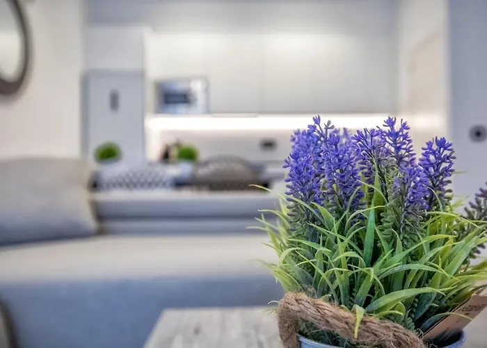 Domi & Parking Incluido * Cordoue