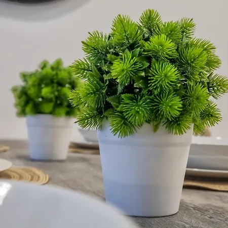 Domi&parking Incluido Apartamento