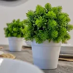 Domi & Parking Incluido Διαμέρισμα